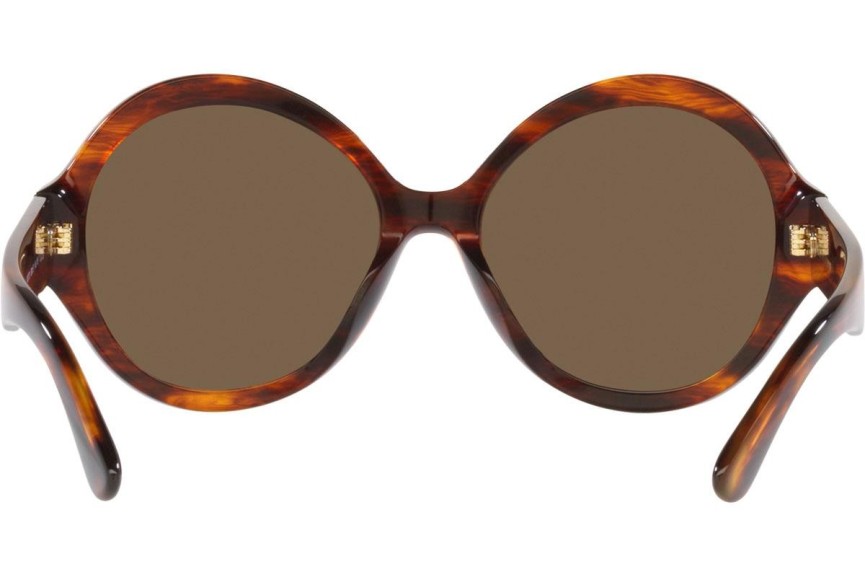 Okulary przeciwsłoneczne Ralph Lauren The Farrah RL8207U 500773 Okrągłe Havana