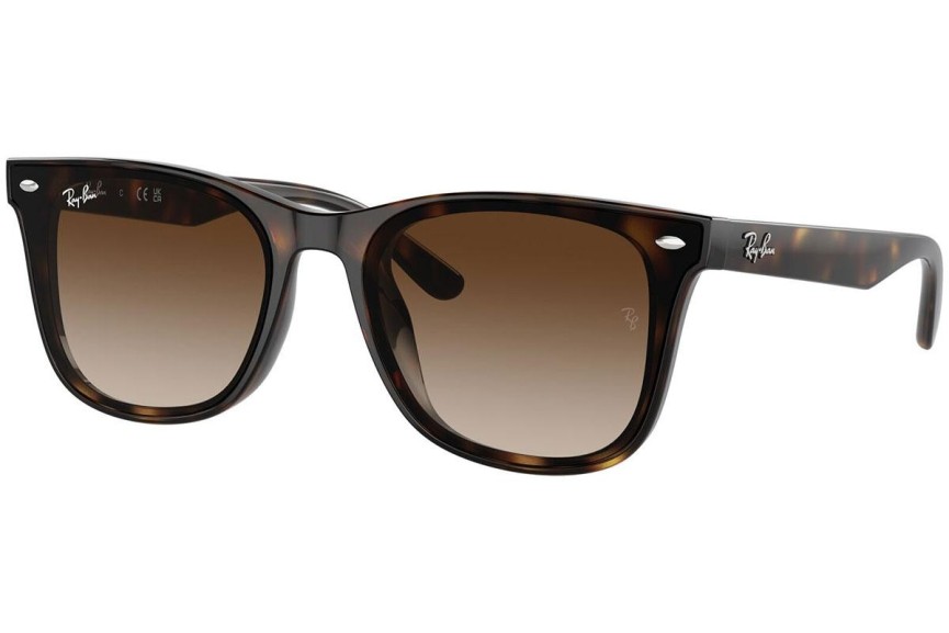 Okulary przeciwsłoneczne Ray-Ban RB4420 710/13 Kwadratowe Havana