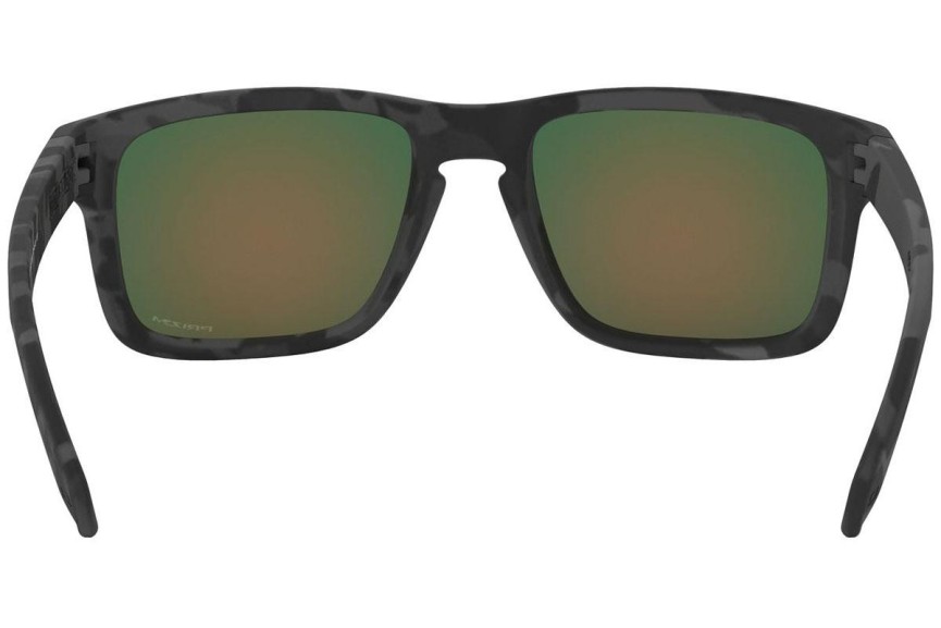 Oakley Holbrook OO9102-E9 PRIZM