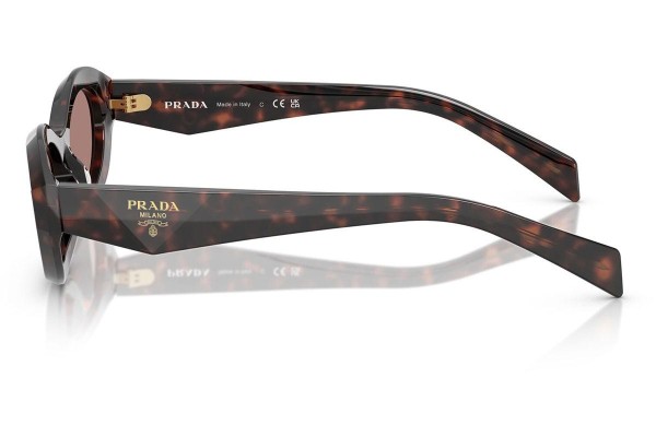 Okulary przeciwsłoneczne Prada PR26ZS 17N60B Owalne Havana