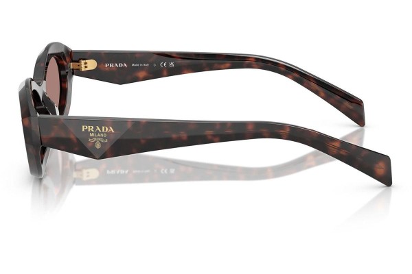 Okulary przeciwsłoneczne Prada PR26ZSF 17N60B Prostokątne Havana