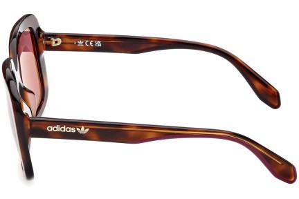 Okulary przeciwsłoneczne Adidas Originals OR0065 53S Kwadratowe Havana