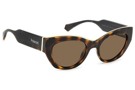 Okulary przeciwsłoneczne Polaroid PLD6199/S/X 086/SP Polarized Kocie oczy Havana