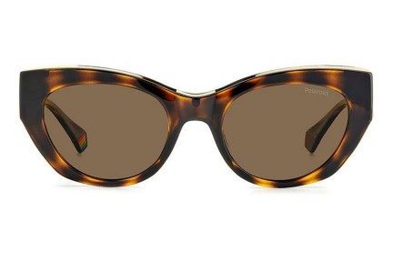 Okulary przeciwsłoneczne Polaroid PLD6199/S/X 086/SP Polarized Kocie oczy Havana