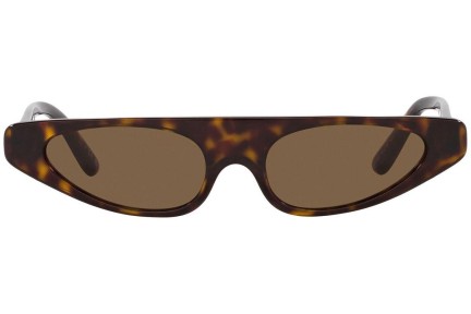 Dolce & Gabbana DG4442 502/73