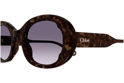 Okulary przeciwsłoneczne Chloe CH0197S 002 Owalne Havana