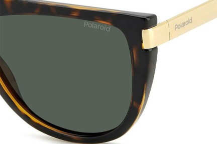 Okulary przeciwsłoneczne Polaroid PLD6221/S/X 086/UC Polarized Flat Top Havana