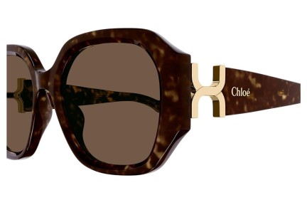 Okulary przeciwsłoneczne Chloe CH0236S 002 Kwadratowe Havana