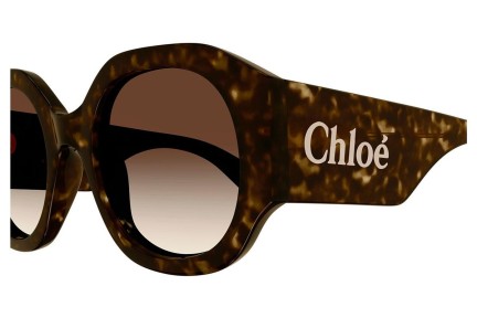 Okulary przeciwsłoneczne Chloe CH0234S 002 Okrągłe Havana