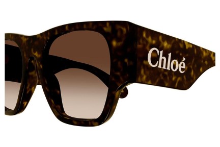 Okulary przeciwsłoneczne Chloe CH0233S 002 Kwadratowe Havana