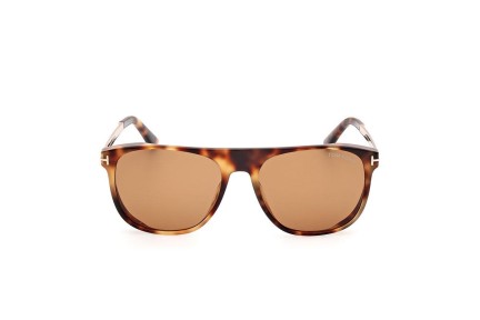 Okulary przeciwsłoneczne Tom Ford FT1105 55E Kwadratowe Havana