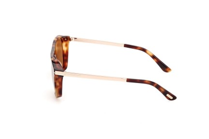 Okulary przeciwsłoneczne Tom Ford FT1105 55E Kwadratowe Havana