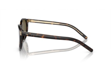 Okulary przeciwsłoneczne Giorgio Armani AR8199U 587973 Okrągłe Havana