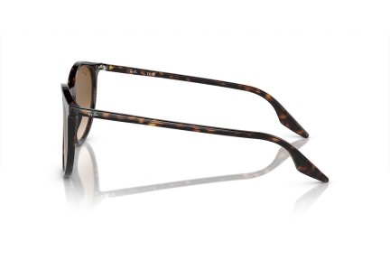 Okulary przeciwsłoneczne Ray-Ban RB2204 902/51 Okrągłe Havana