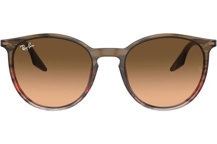 Okulary przeciwsłoneczne Ray-Ban RB2204 13953B Okrągłe Brązowe