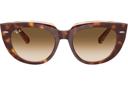 Okulary przeciwsłoneczne Ray-Ban RB2286 141451 Kwadratowe Havana