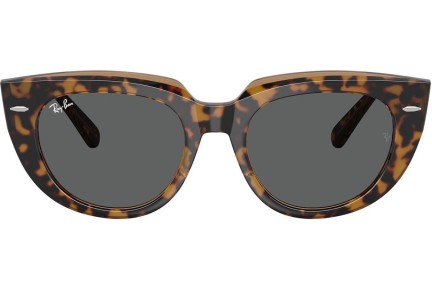 Okulary przeciwsłoneczne Ray-Ban RB2286 1292B1 Kwadratowe Havana