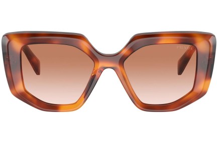 Okulary przeciwsłoneczne Prada PR14ZS 18R70E Nieregularny Havana