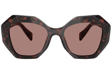 Okulary przeciwsłoneczne Prada PR16WS 17N60B Nieregularny Havana