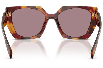 Okulary przeciwsłoneczne Prada PR15WS 22A20I Kwadratowe Havana