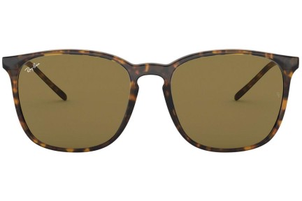 Ray-Ban RB4387 710/73