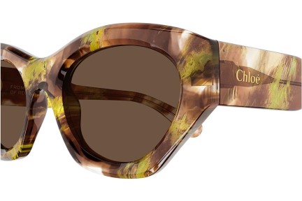 Okulary przeciwsłoneczne Chloe CH0220S 010 Kocie oczy Havana