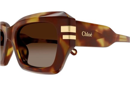 Okulary przeciwsłoneczne Chloe CH0256S 002 Kwadratowe Havana