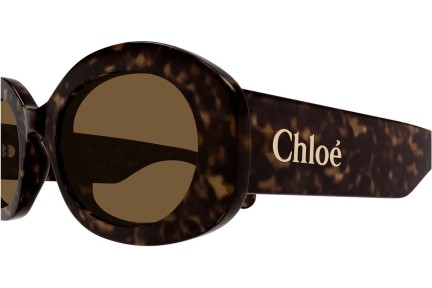 Okulary przeciwsłoneczne Chloe CH0258S 002 Owalne Havana