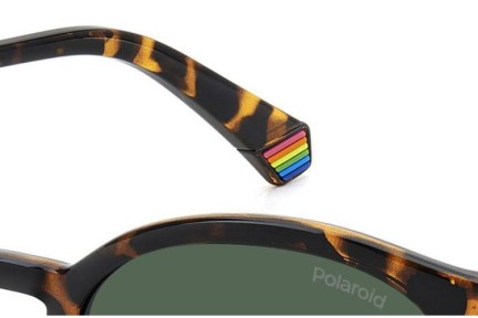 Okulary przeciwsłoneczne Polaroid PLD6233/S 086/UC Polarized Okrągłe Havana