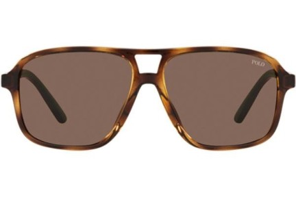 Okulary przeciwsłoneczne Polo Ralph Lauren PH4177U 500373 Pilotki (Aviator) Havana