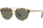 Okulary przeciwsłoneczne Ralph Lauren RL8210 51345U Okrągłe Havana