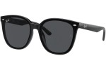 Ray-Ban RB4423D 601/87