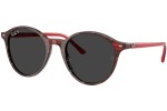 Ray-Ban RB2230 141948 Polarized