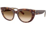 Okulary przeciwsłoneczne Ray-Ban RB2286 141451 Kwadratowe Havana