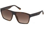 Okulary przeciwsłoneczne Guess GU00021 52F Kwadratowe Havana